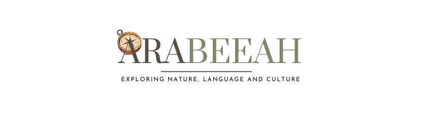 AraBeeah